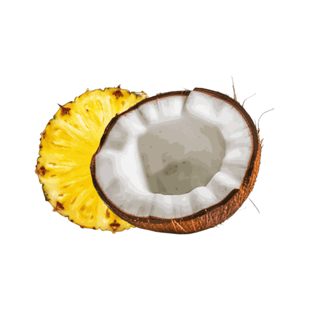 Ananas coco déshydraté