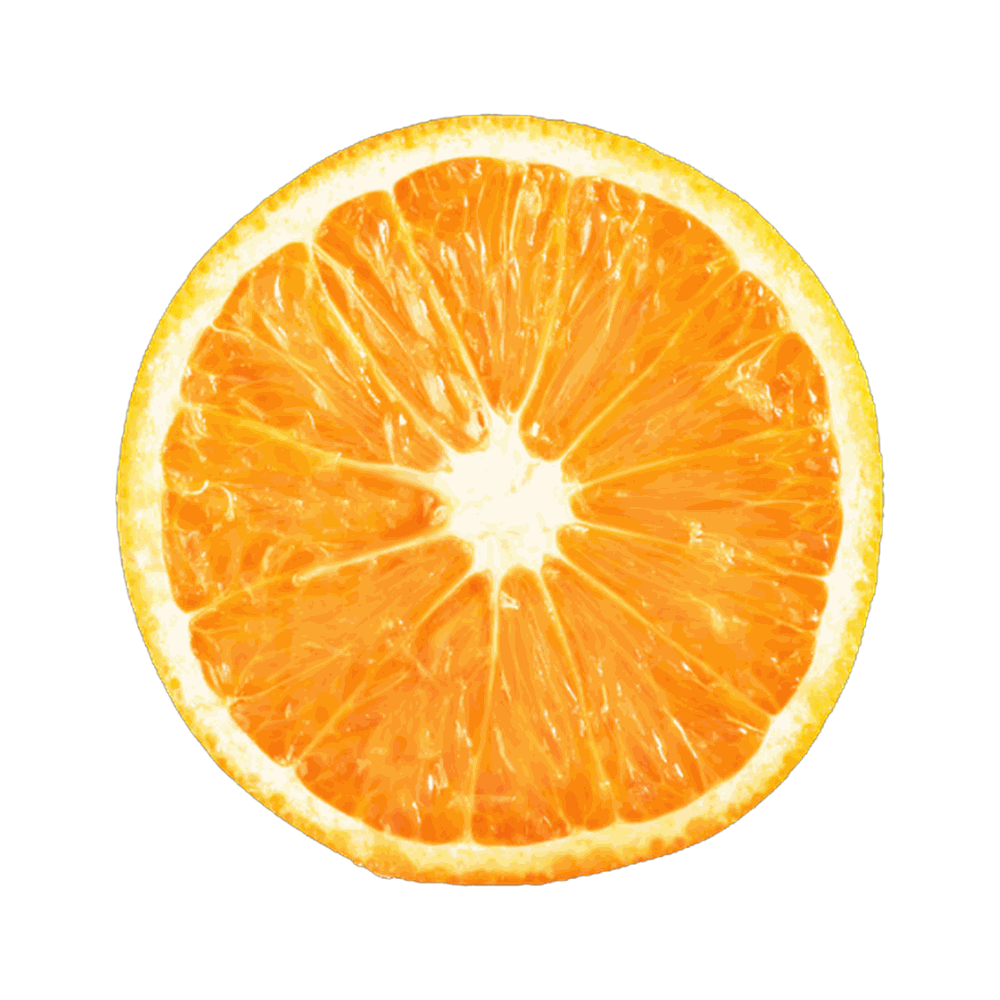 Orange déshydraté